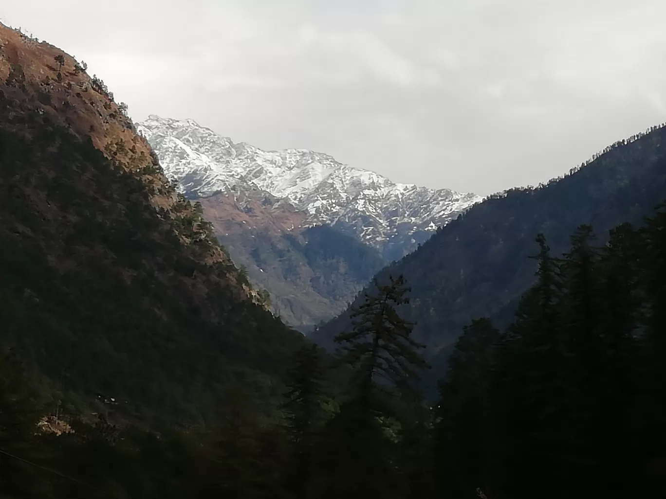 Photo of Kheerganga Trek By shyam bhardwaj