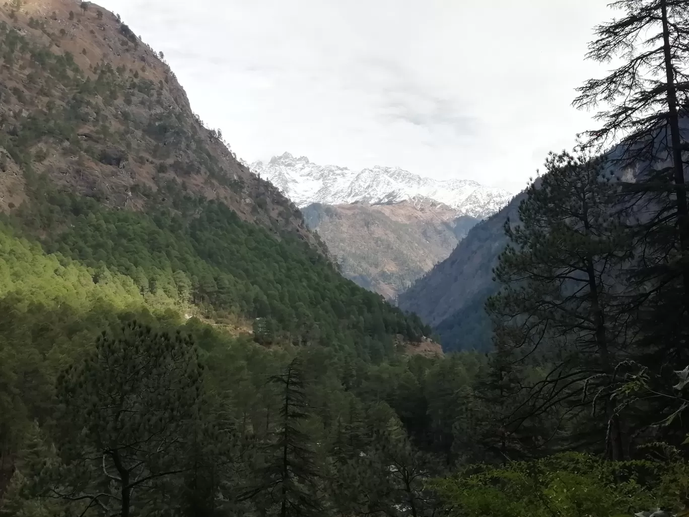 Photo of Kheerganga Trek By shyam bhardwaj