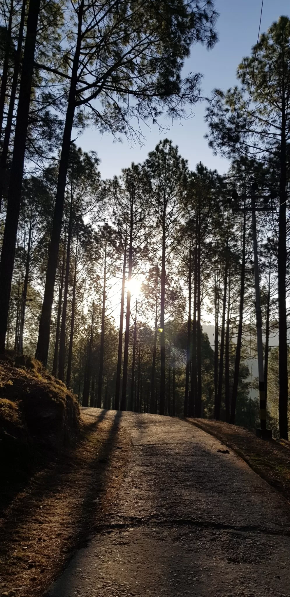 Photo of Ranikhet By travel blogger paritosh