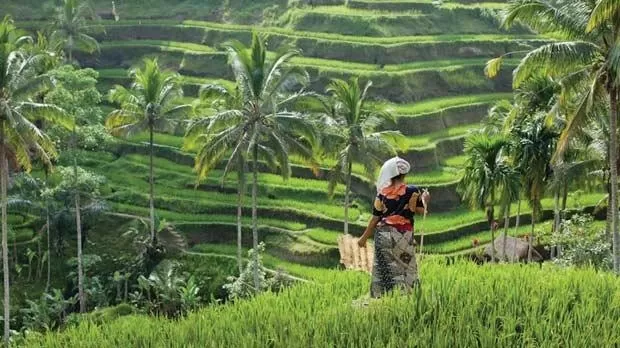 Photo of Kec. Kuta Utara Kabupaten Badung By Putu Dharma