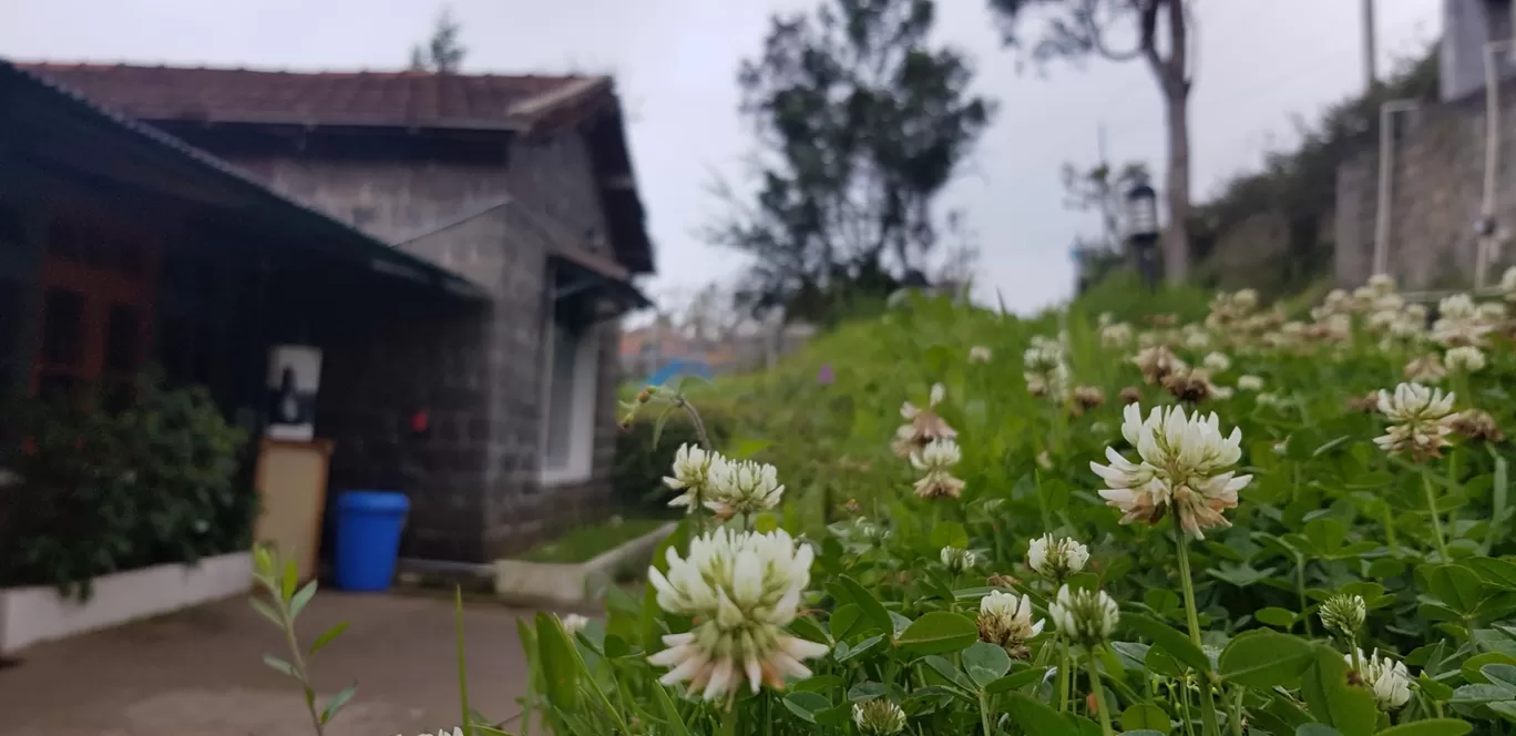 Photo of Kodaikanal By Nithin Anil Kumar