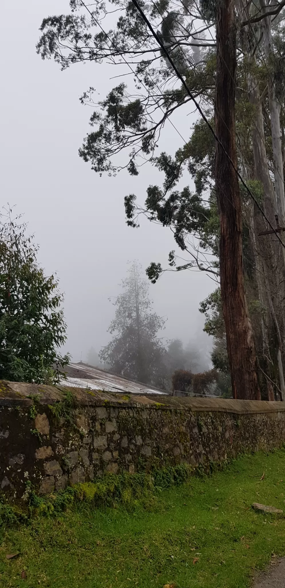 Photo of Kodaikanal By Nithin Anil Kumar