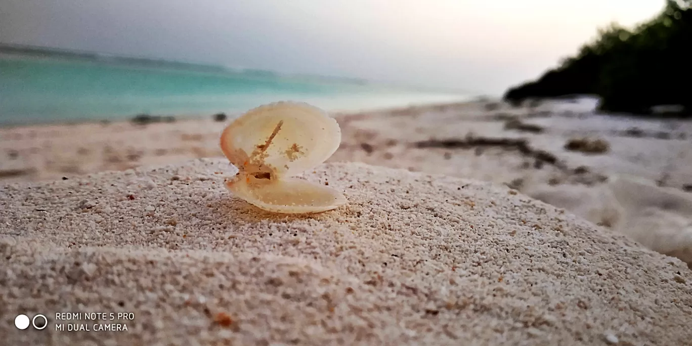 Photo of Lakshadweep Island Resort By Hasanul Benna KI