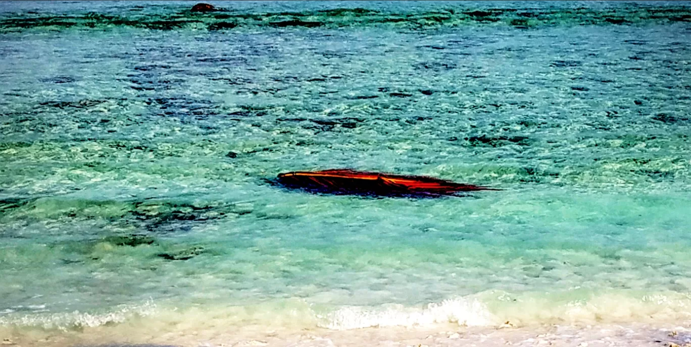 Photo of Lakshadweep Island Resort By Hasanul Benna KI