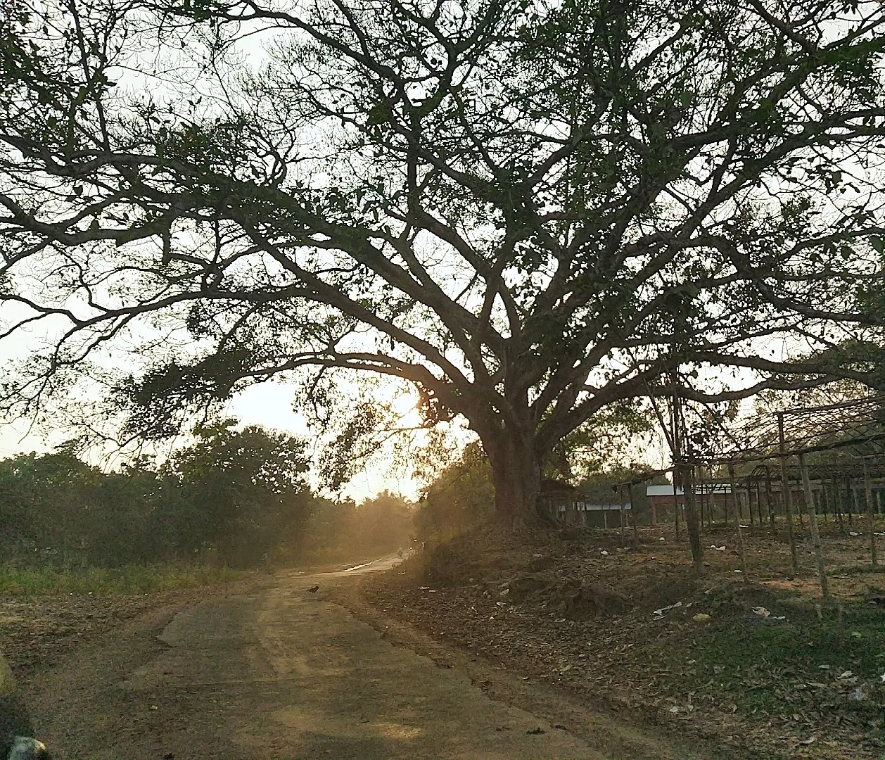 Photo of Kamrup By Sunil Aarya