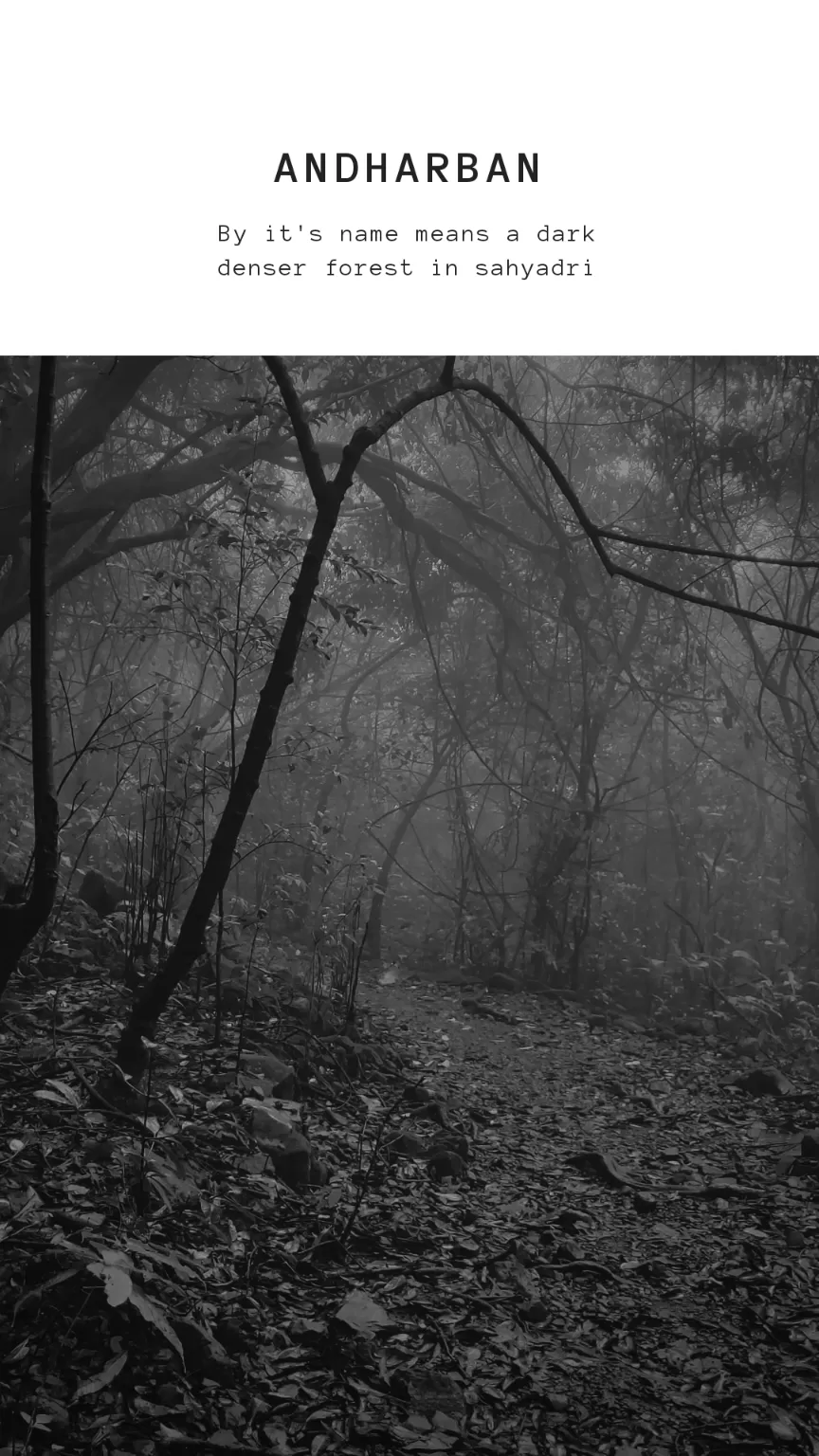 Photo of Andharban terk off road By Omkar Bhujbal