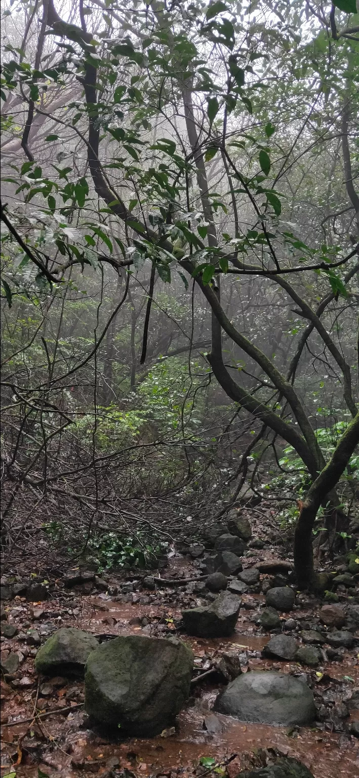 Photo of Andharban terk off road By Omkar Bhujbal