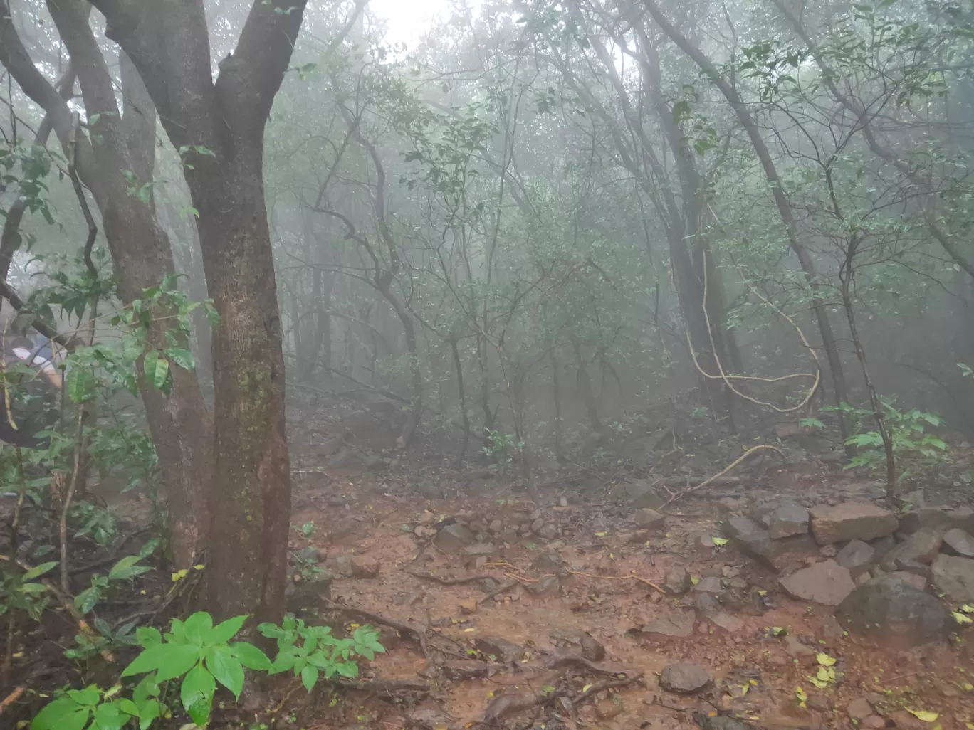 Photo of Andharban terk off road By Omkar Bhujbal