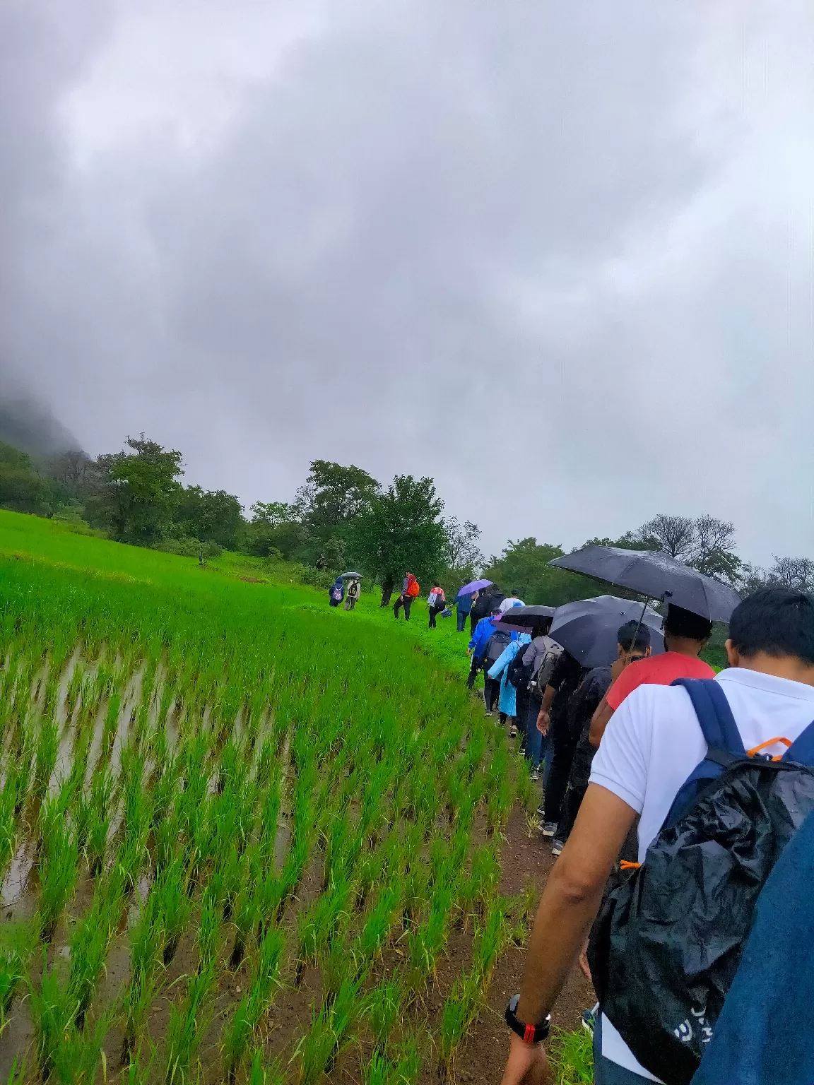 Photo of Andharban terk off road By Omkar Bhujbal