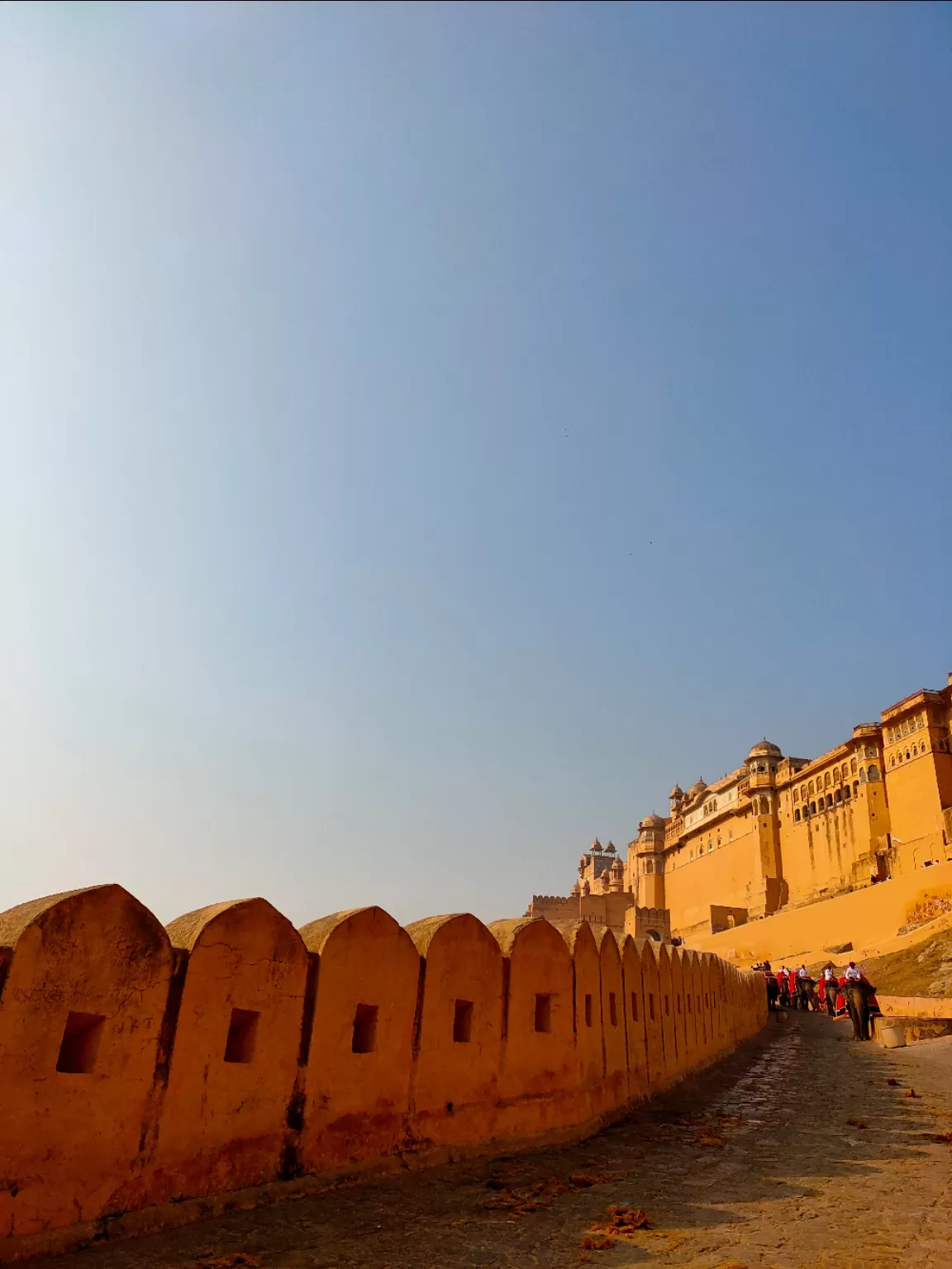 Photo of Amer Fort By vikas jha