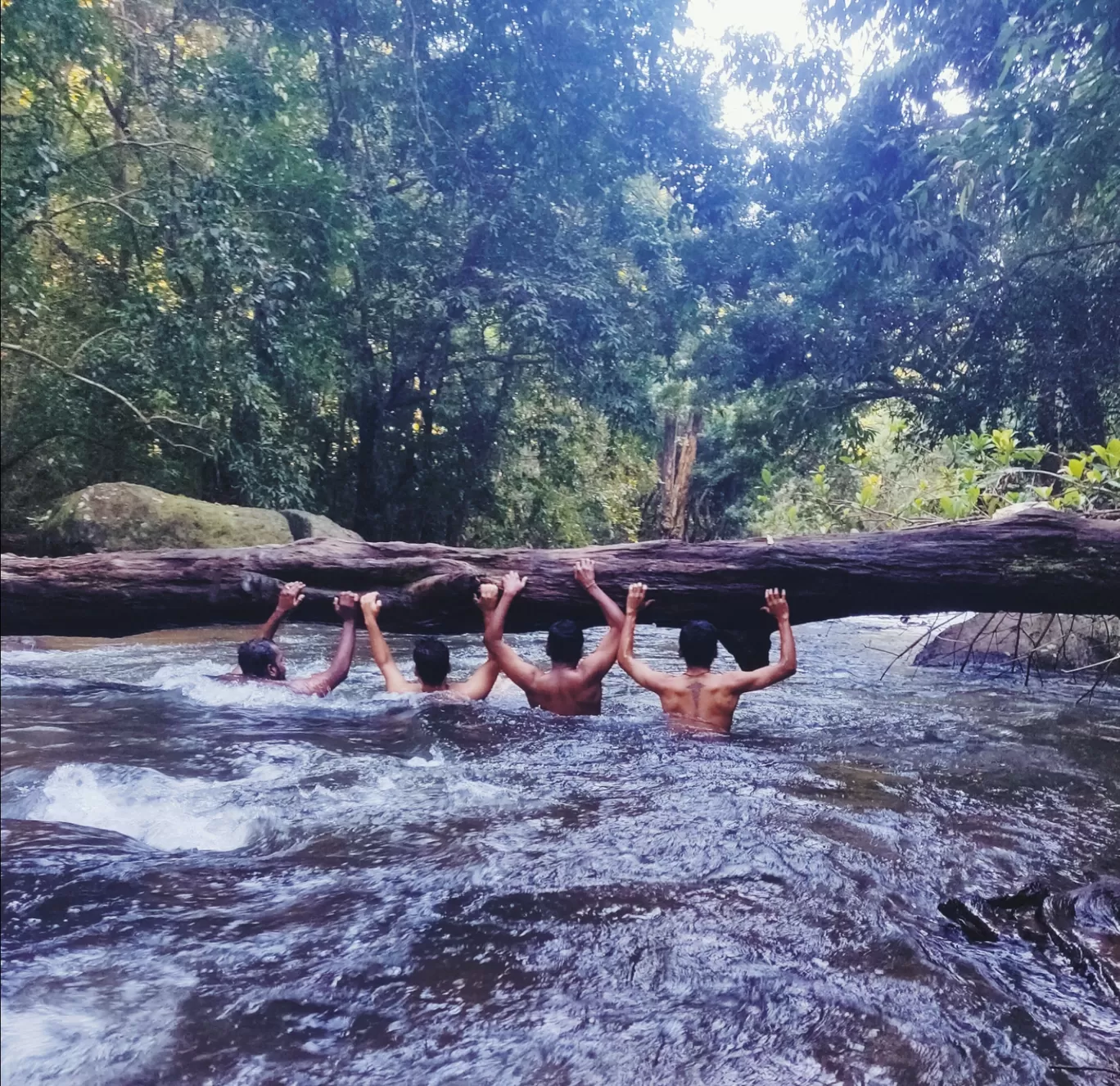 Photo of Thommankuthu Waterfalls By Vivek Josh