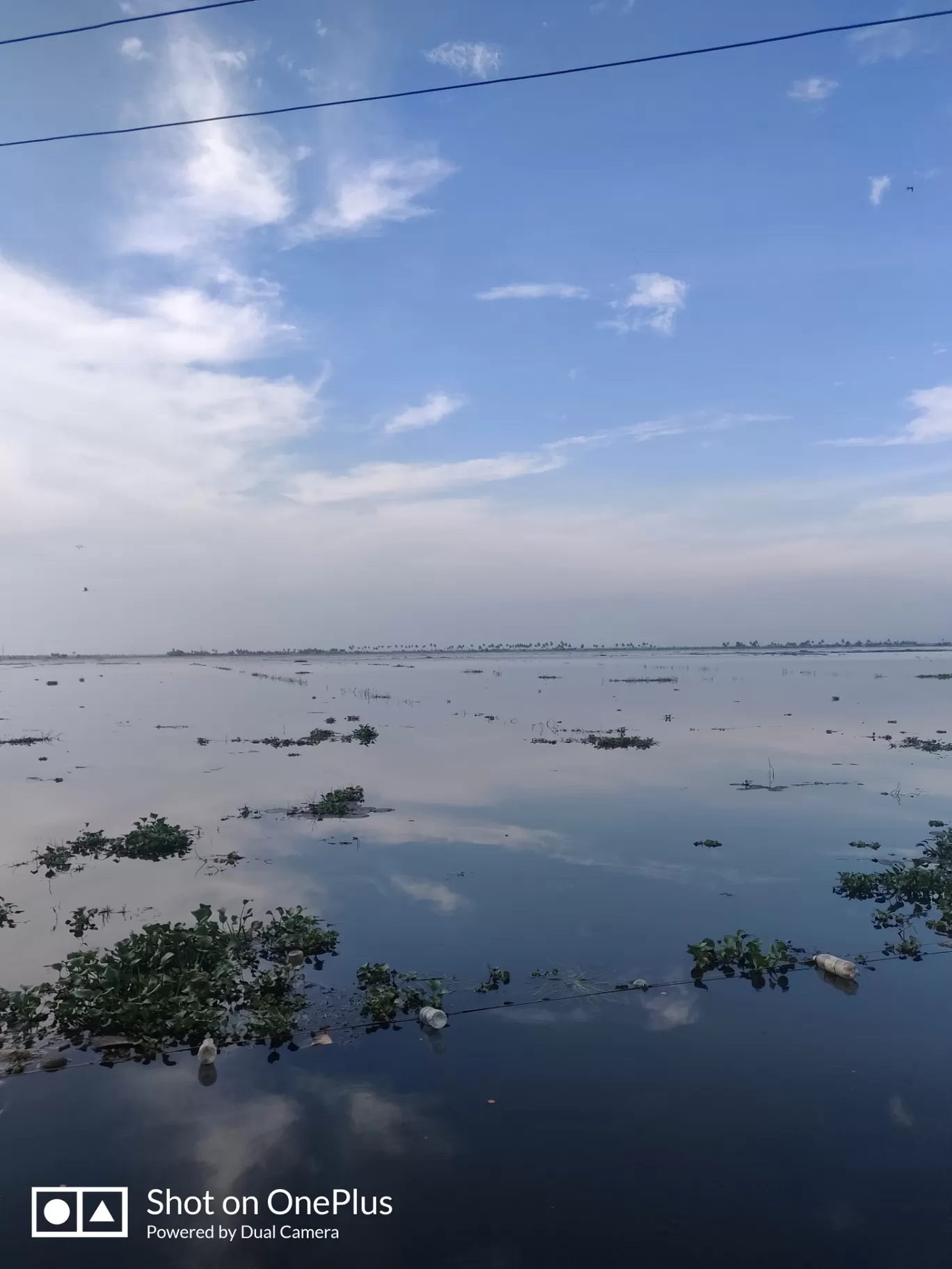 Photo of Rajapuram Kayal Shaap (Toddy parlour) By Vivek Josh