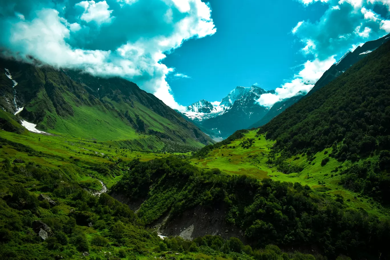 Photo of Valley of Flowers National Park By Pritam Patel