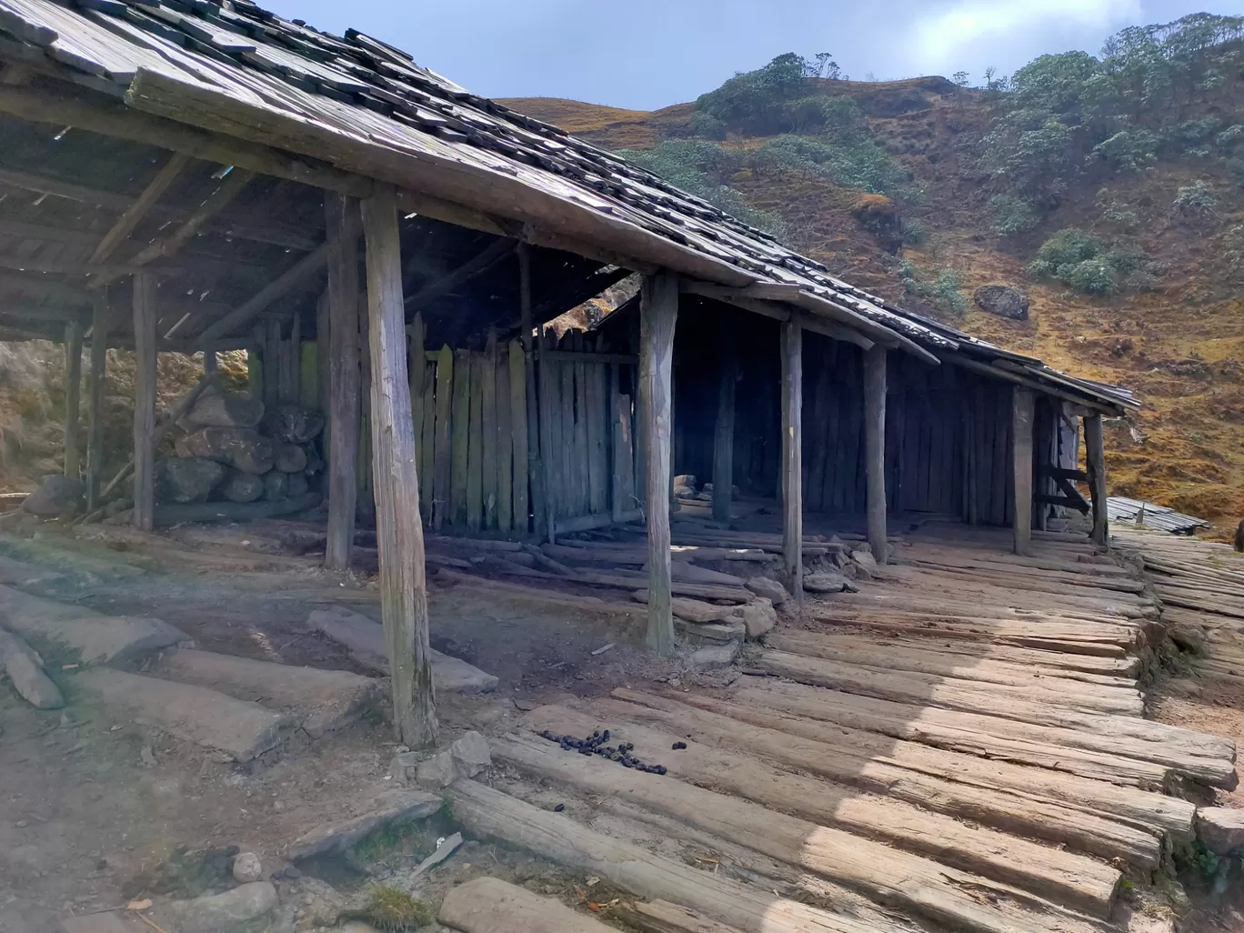 Photo of Sandakphu By সুপ্রিয় বেপারী