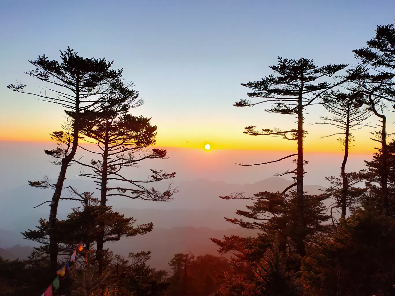 Photo of Sandakphu By সুপ্রিয় বেপারী