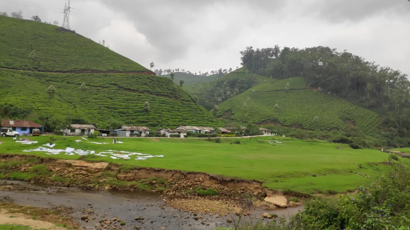 Photo of Munnar