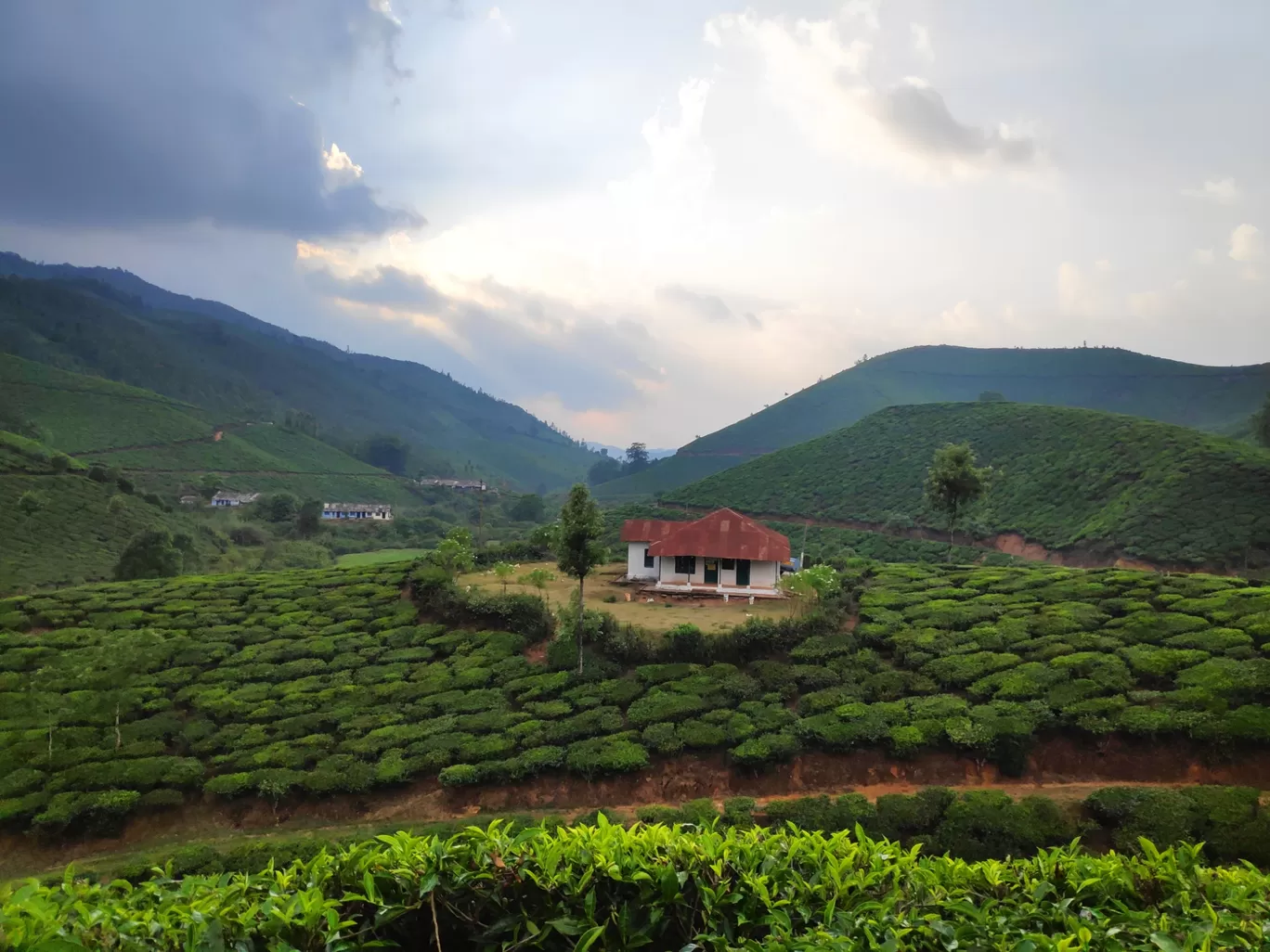 Photo of Munnar