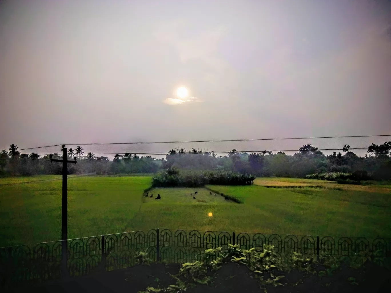 Photo of Berhampore By apratim