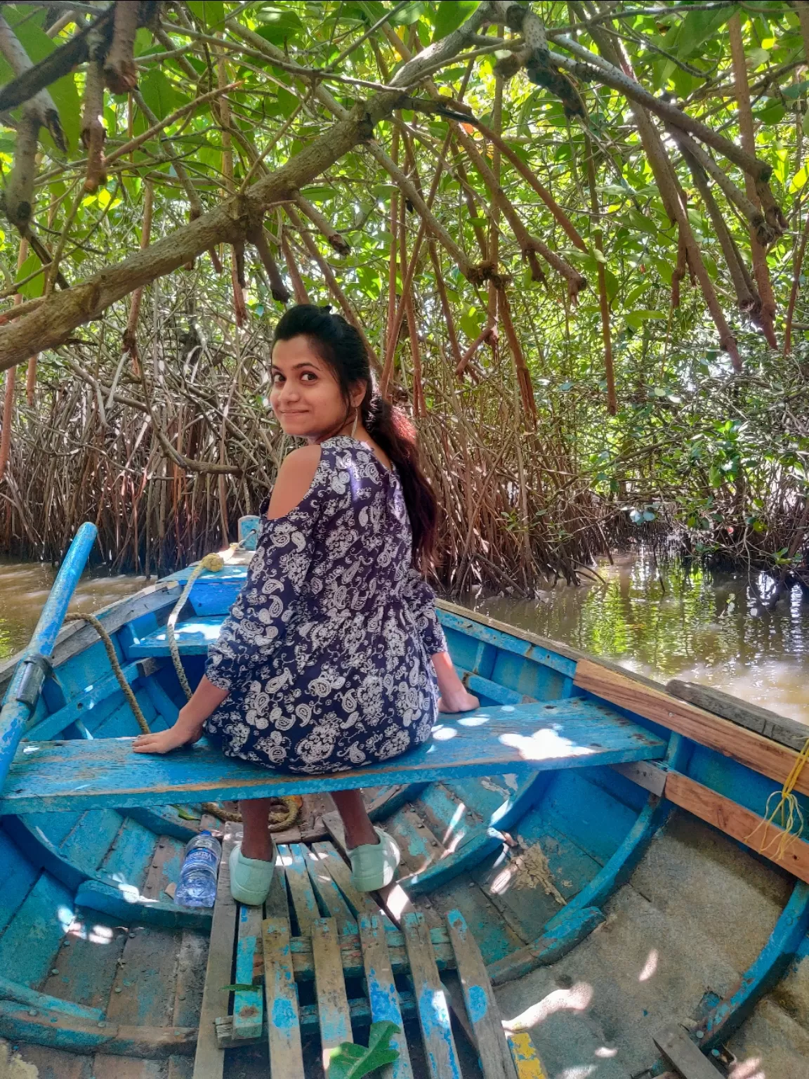 Photo of Mangrove Forest By Sayali bhalerao