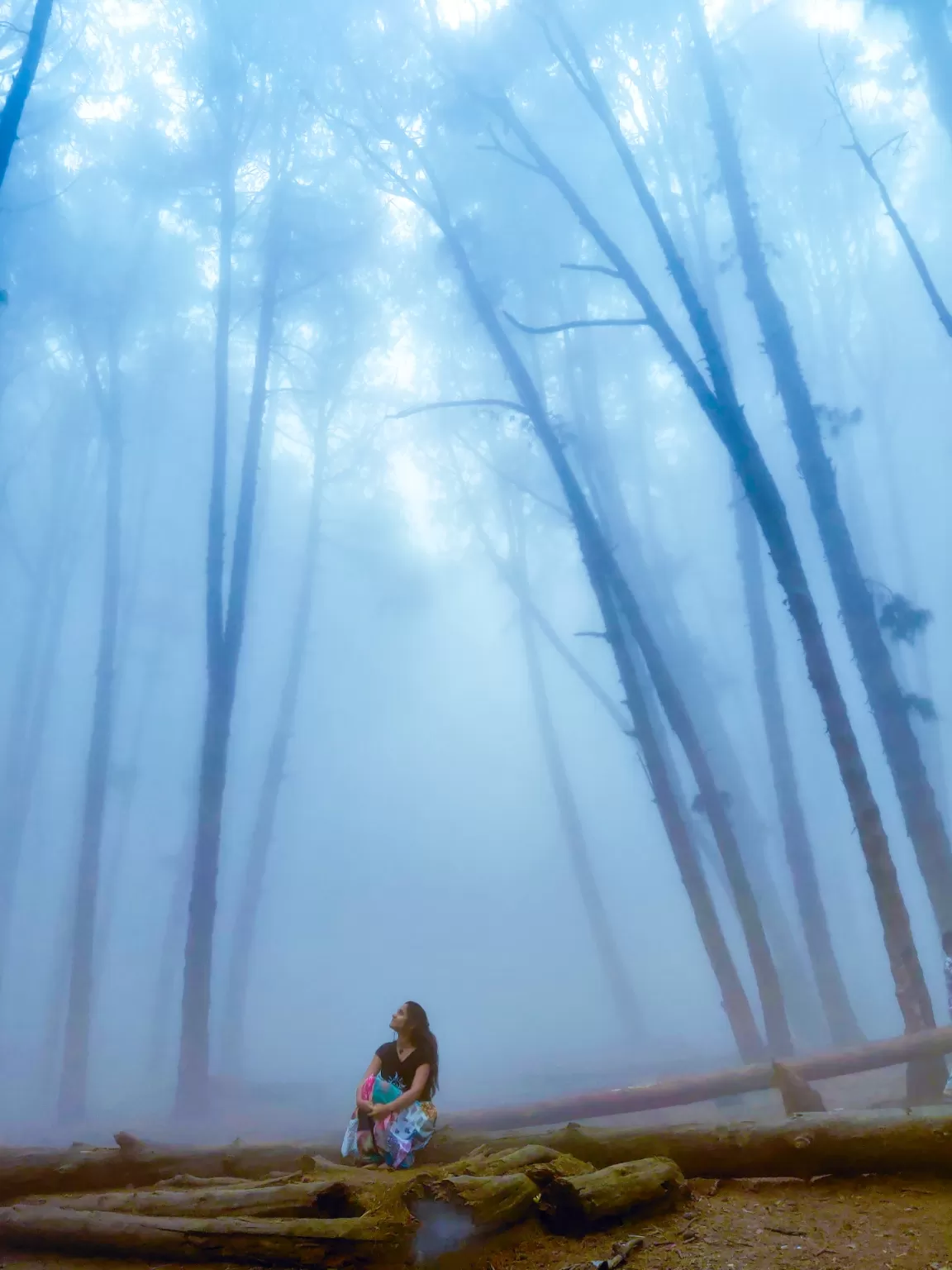 Photo of Kodaikanal By Sayali bhalerao