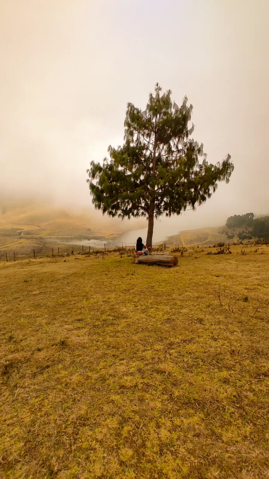 Photo of Kodaikanal By Sayali bhalerao