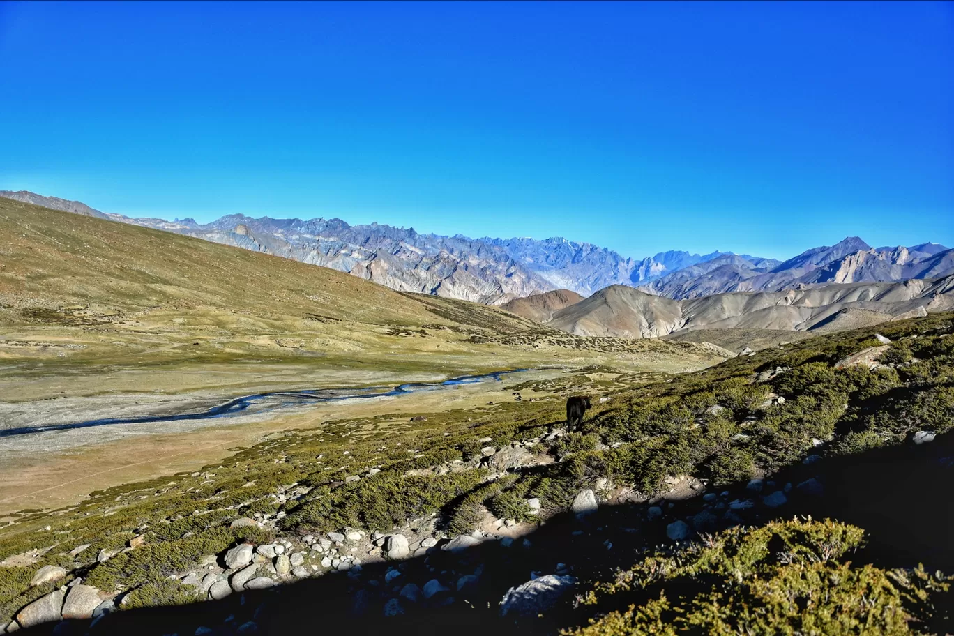 Photo of Markha By Niket Malpani