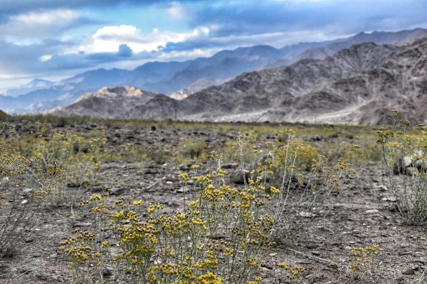 Photo of Ladakh By Shrishti Srivastava