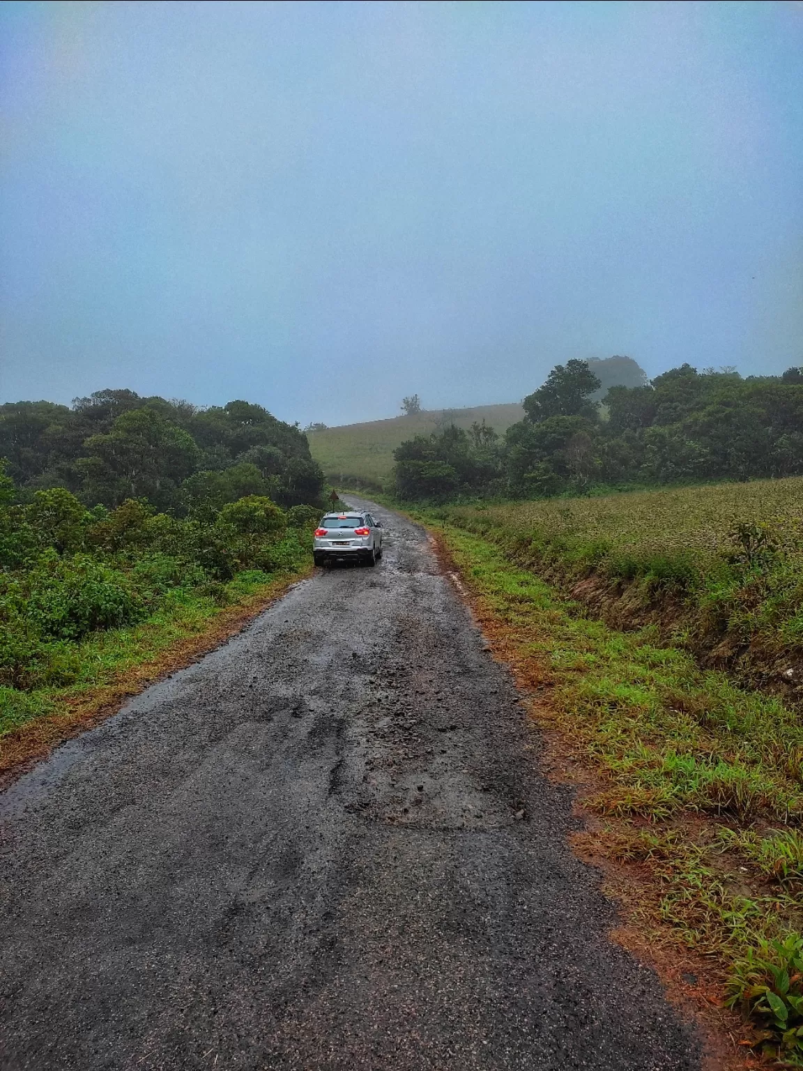 Photo of Kotebetta View Point By Hitesh Gowda 