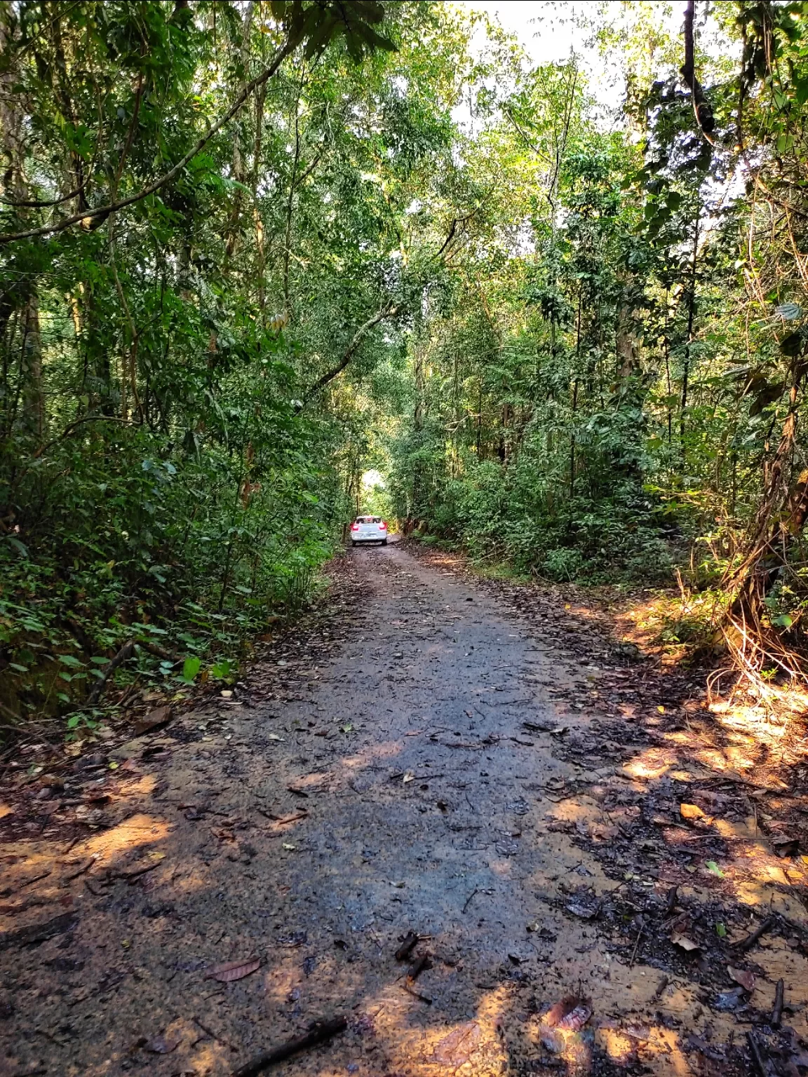 Photo of Siddapura By Hitesh Gowda 