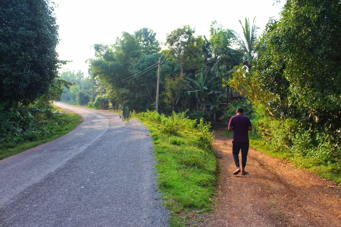 Photo of Siddapura By Hitesh Gowda 