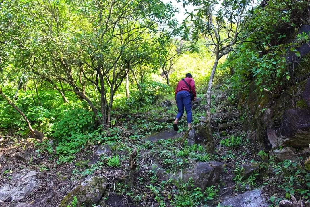 Photo of Chikmagalur By Hitesh Gowda 