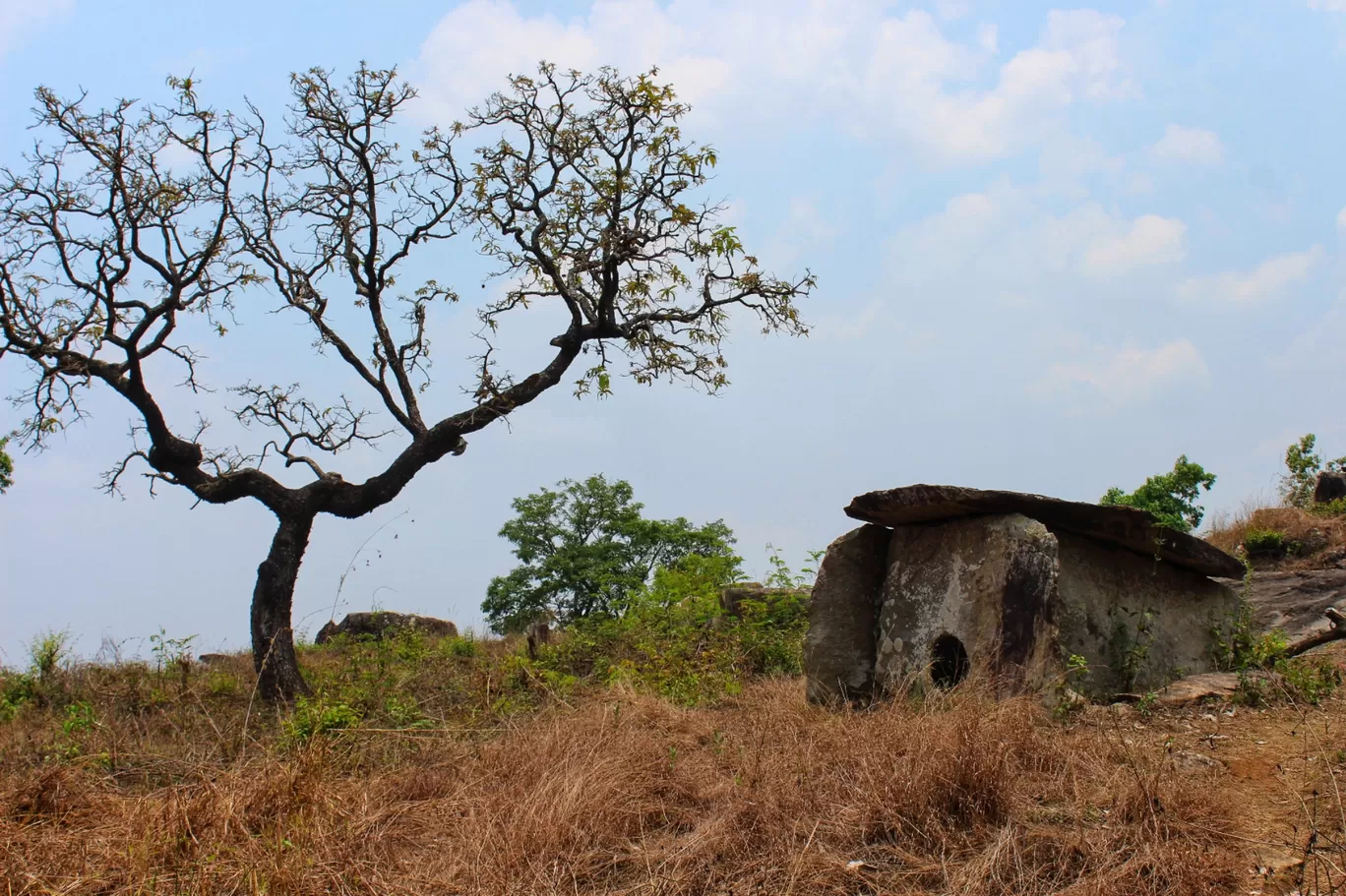 Photo of Somwarpet By Hitesh Gowda 