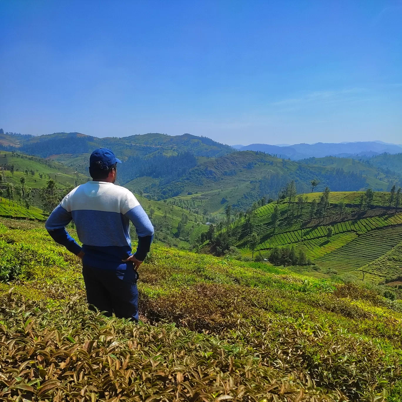 Photo of Ooty By Hitesh Gowda 