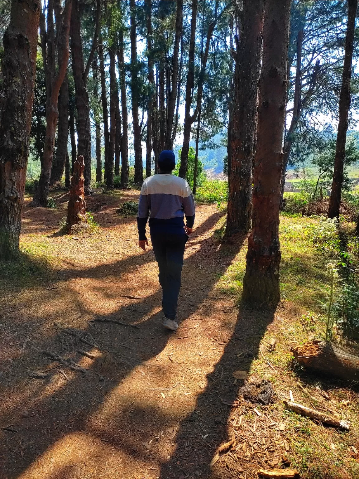 Photo of Ooty By Hitesh Gowda 