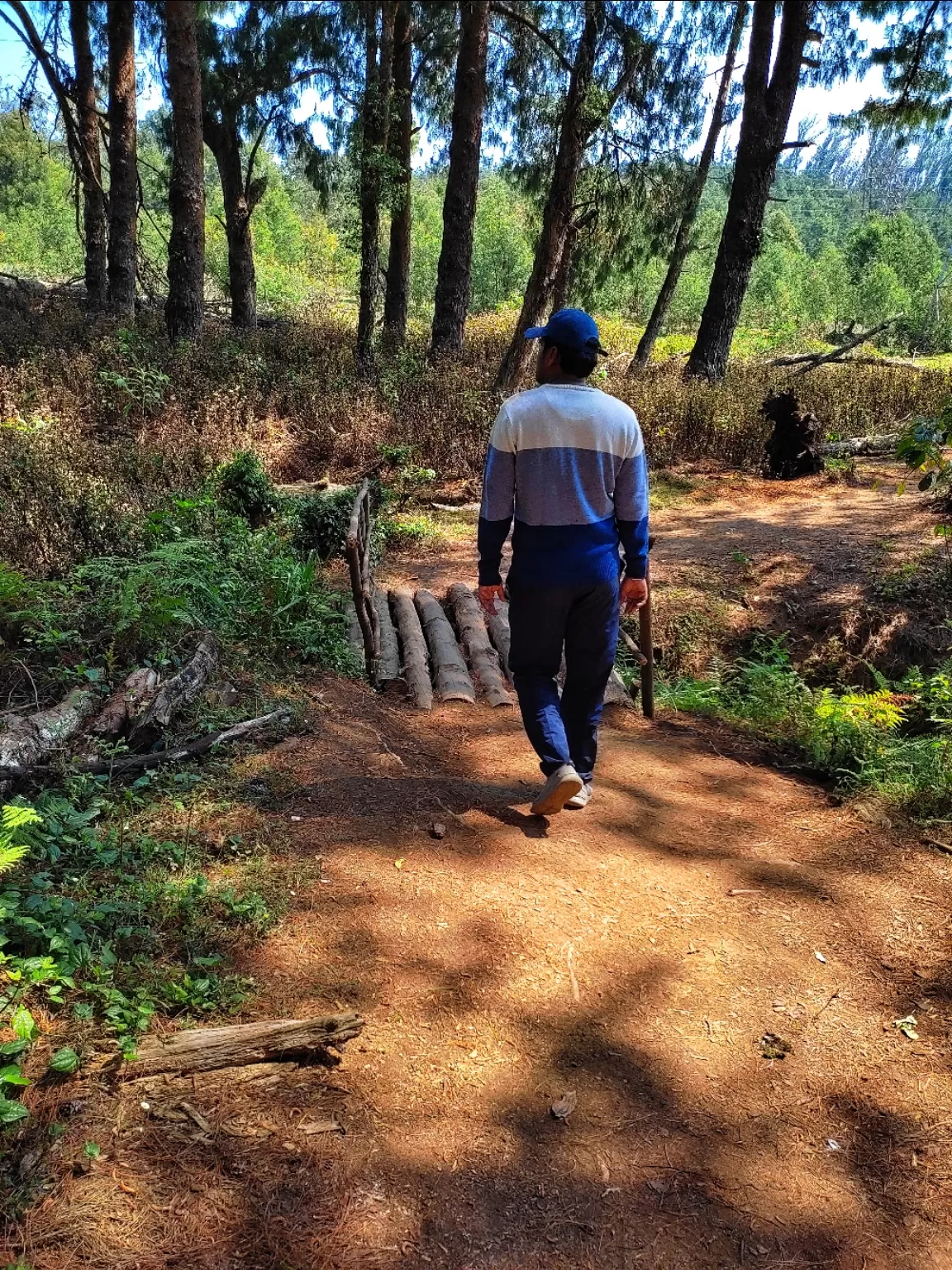 Photo of Ooty By Hitesh Gowda 