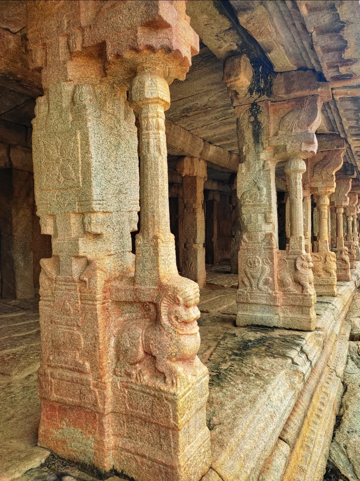 Photo of Andhra Pradesh By Hitesh Gowda 