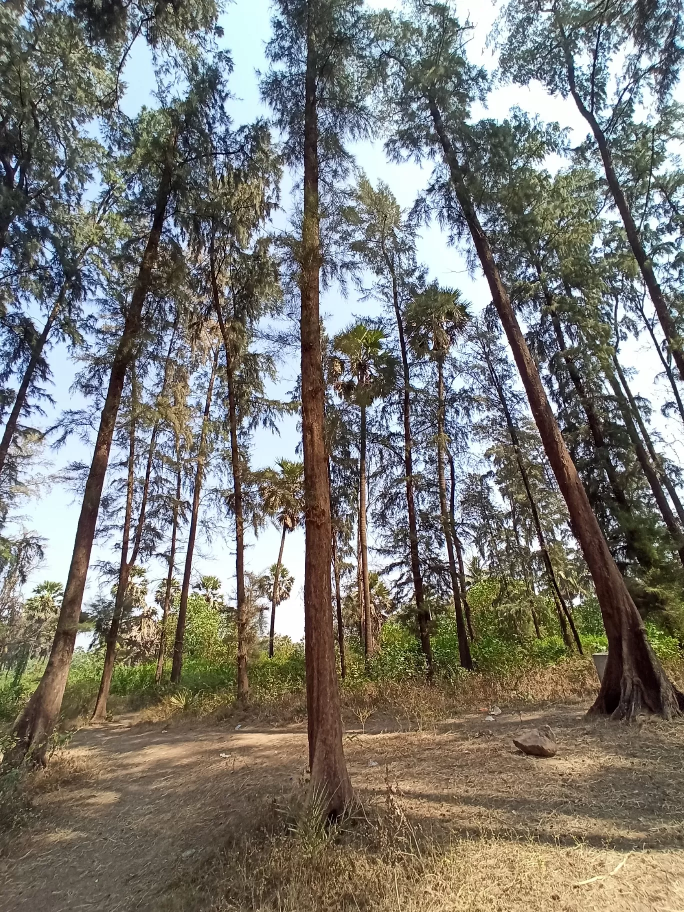 Photo of Kelwa By Yash Chauhan