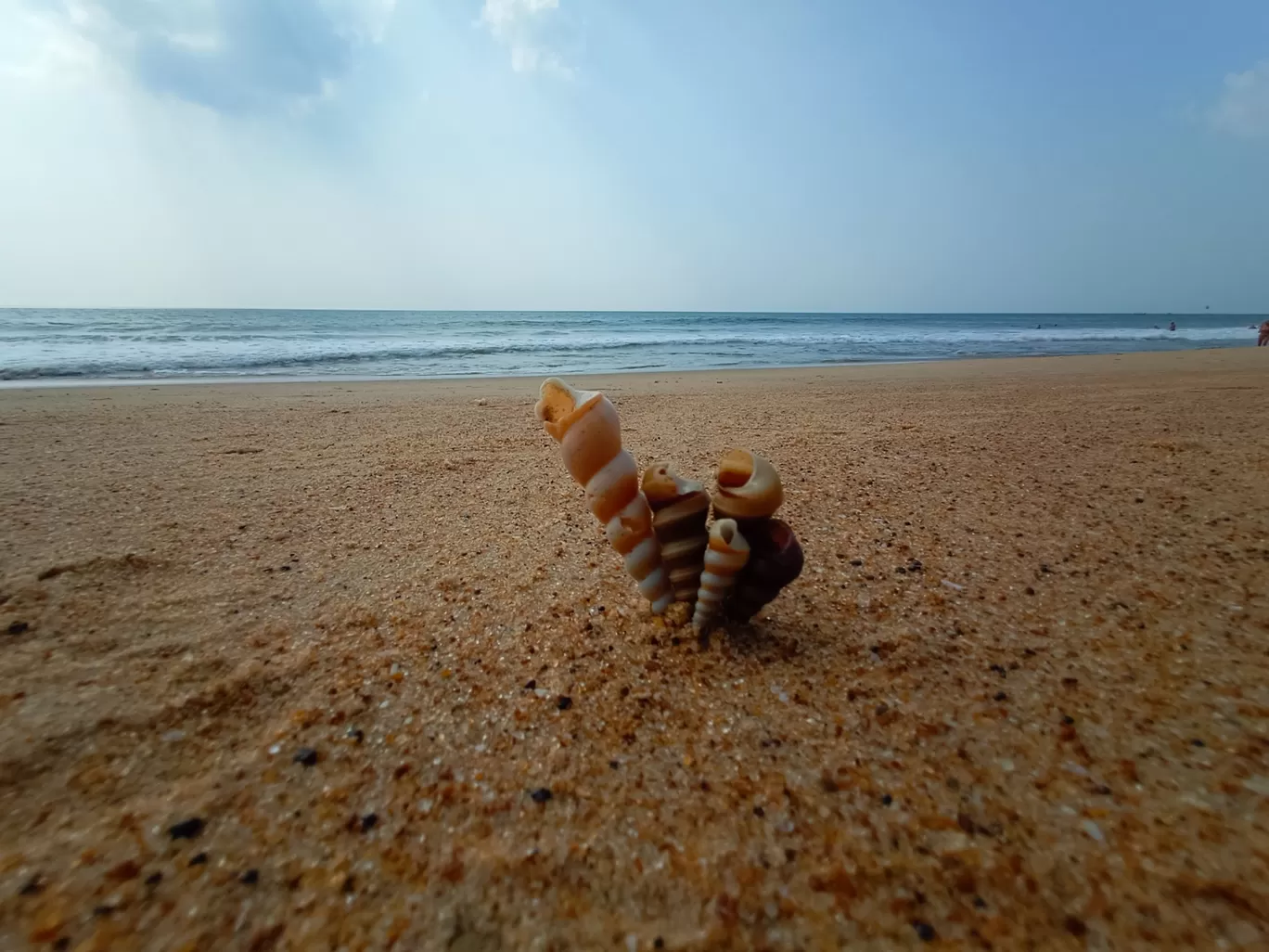 Photo of Baga Beach By Surya Jayanti