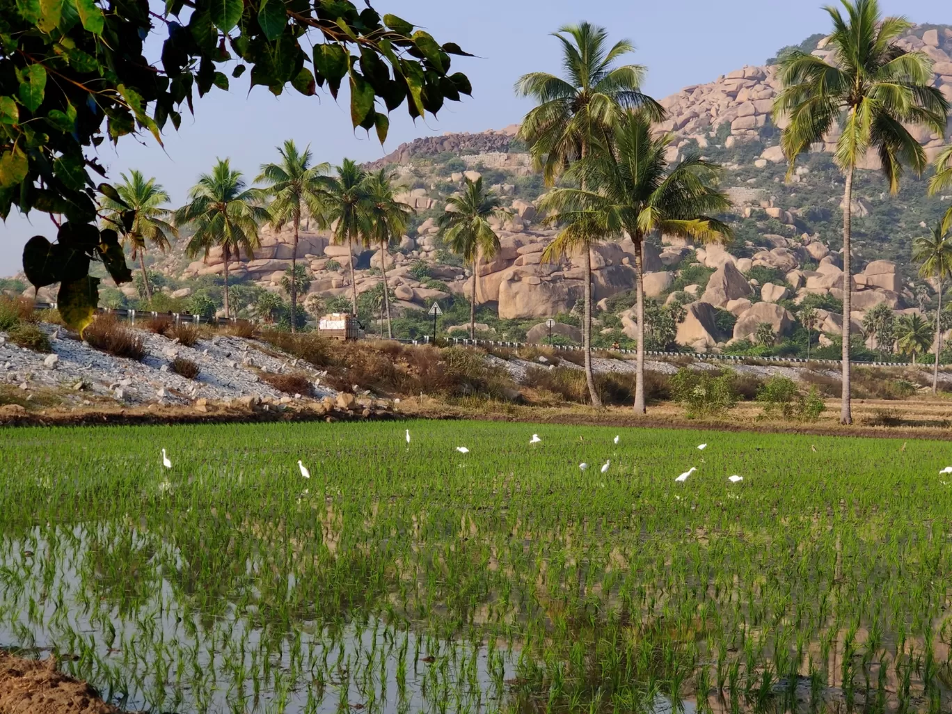 Photo of Anegundi By Priyanka Kamath