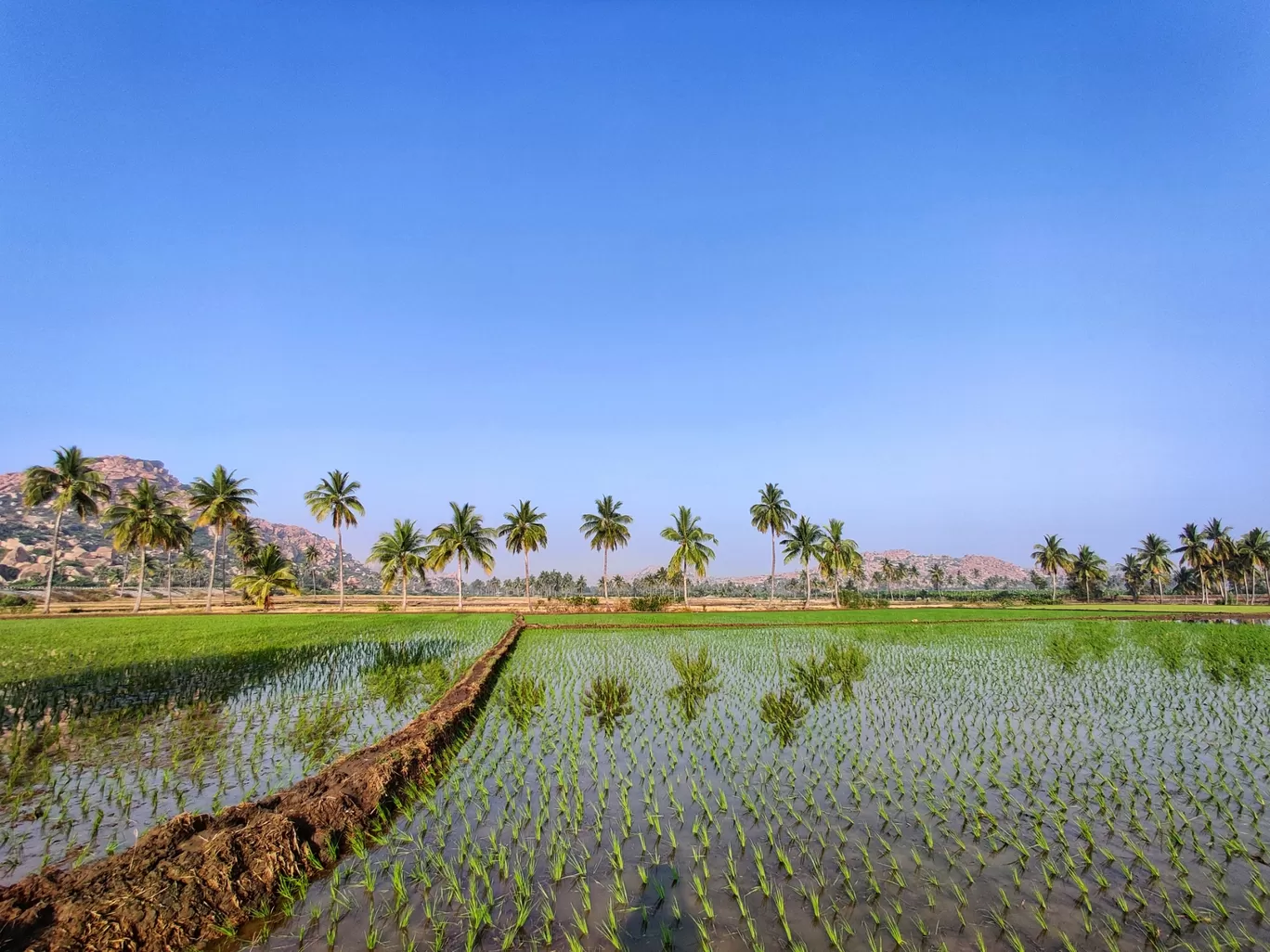 Photo of Anegundi By Priyanka Kamath