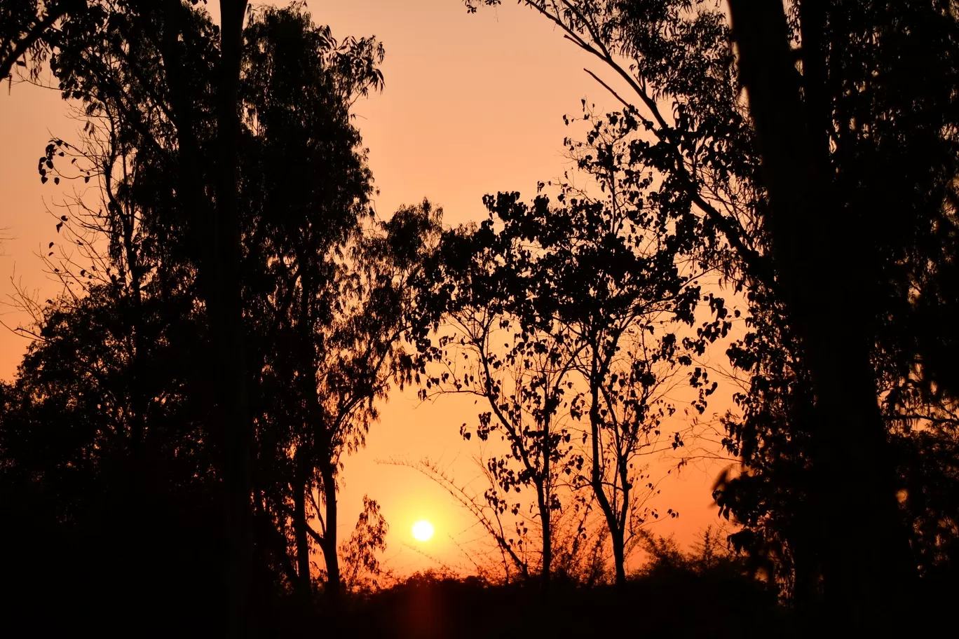 Photo of Raipur By Piyush Kumar