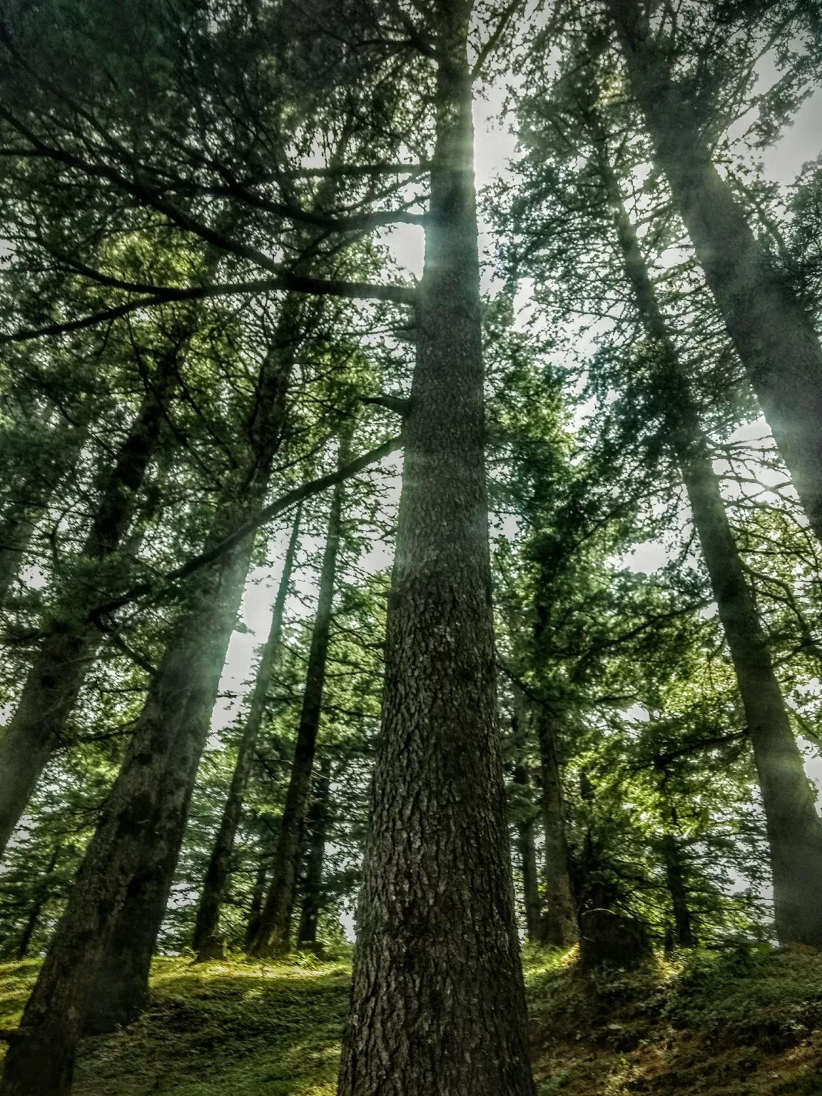 Photo of Himachal Pradesh By Ashutosh Thakur