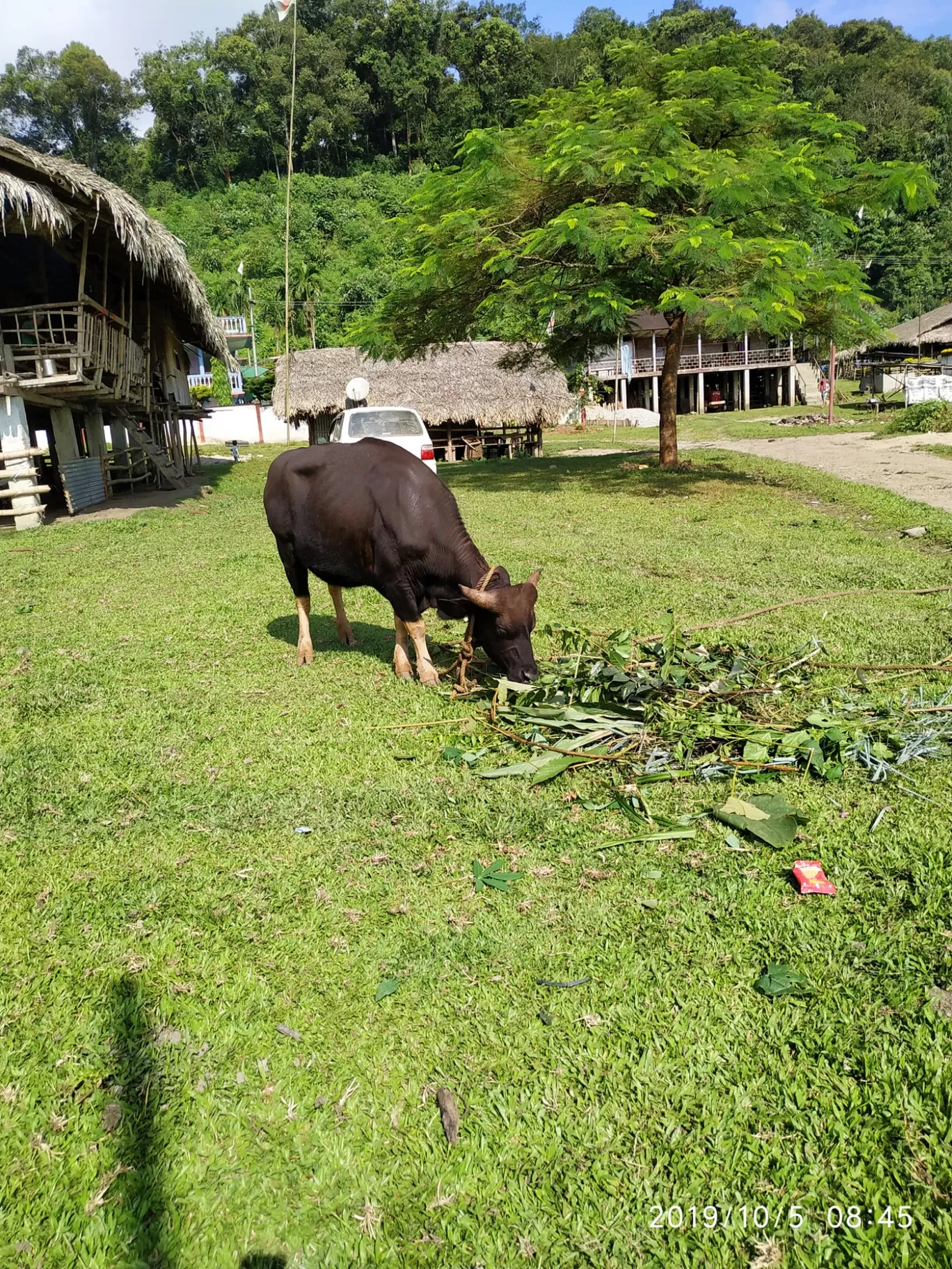 Photo of Aalo By Chandu Chandrakanth