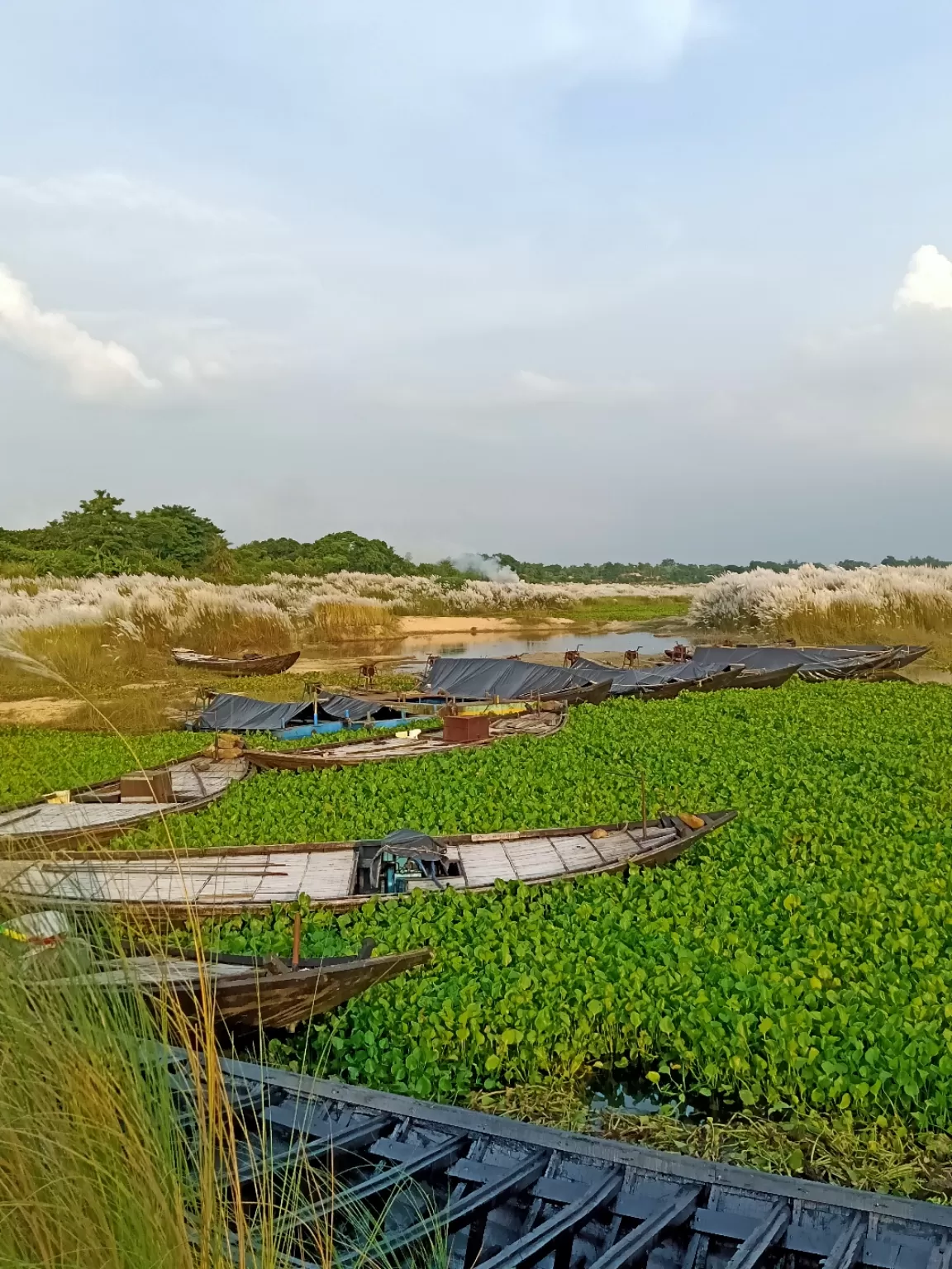 Photo of Burdwan By Debjani Das