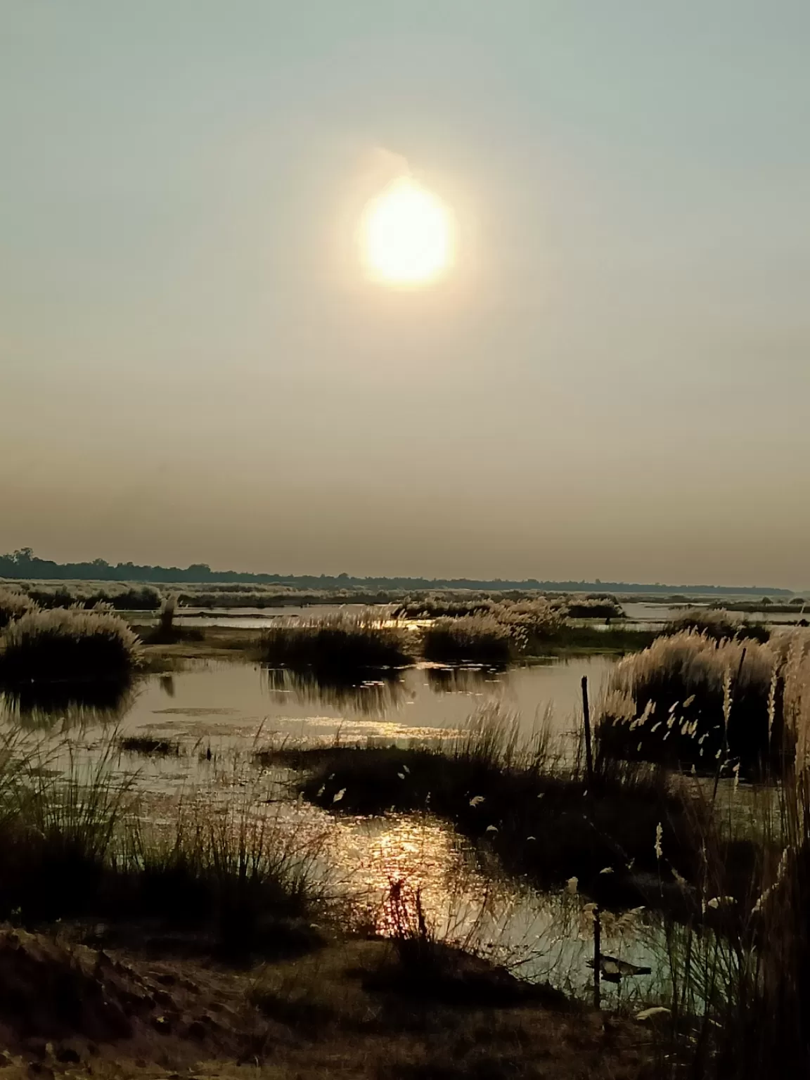 Photo of Burdwan By Debjani Das