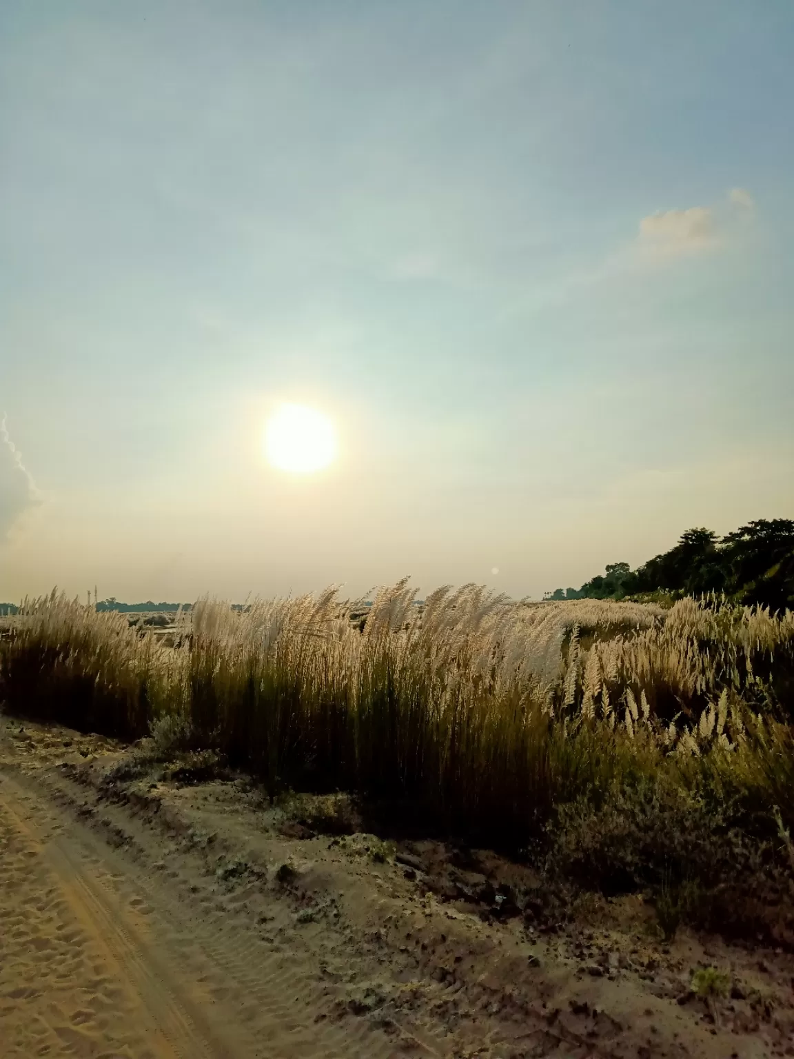 Photo of Burdwan By Debjani Das