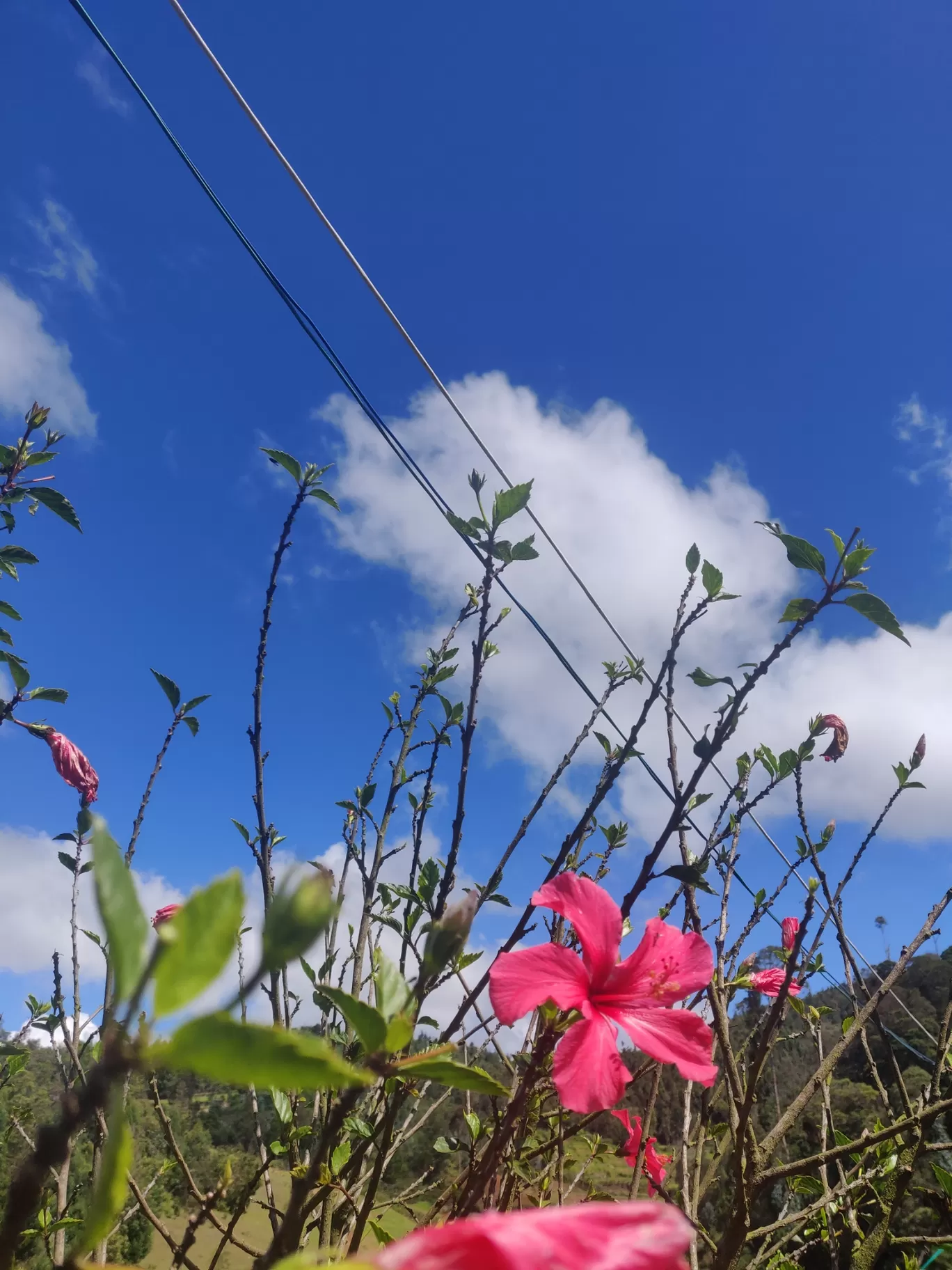Photo of Kodaikanal Road By Raheez OV