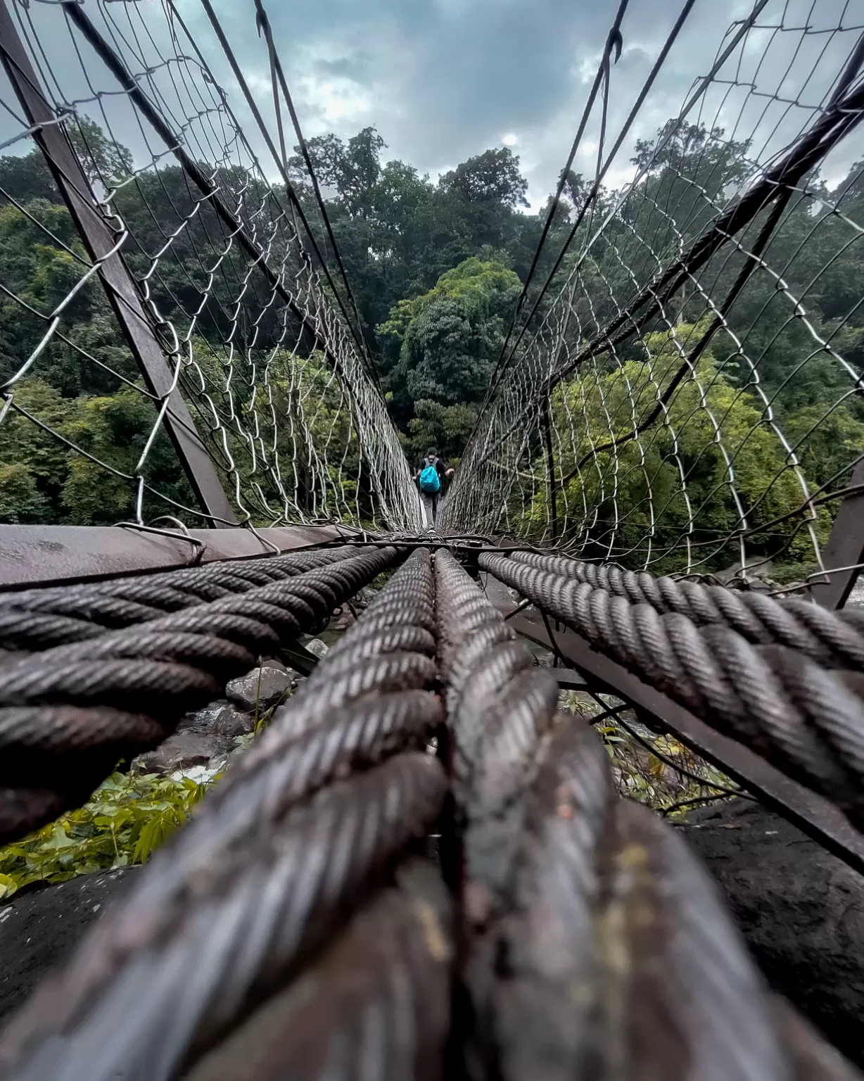 Photo of Double Decker Living Root Bridge By Chahat Bong