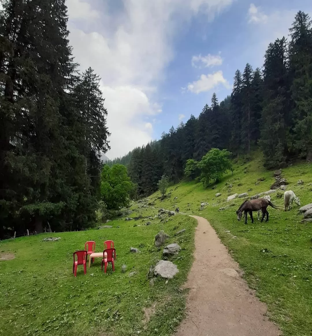 Photo of Kheerganga Trek By Ankit Sharma
