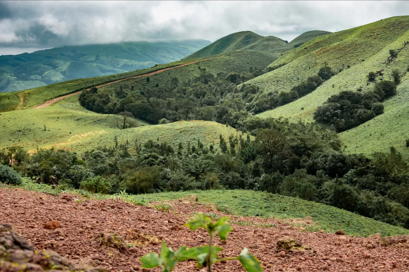 Photo of Mandalpatti Peak By Anita Prasad